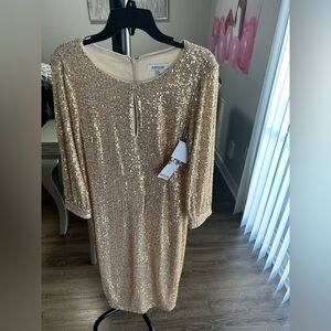 Sequin Dress